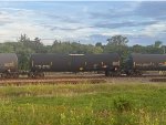 ETHX 100561
